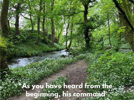 Daily Inspirational Verse