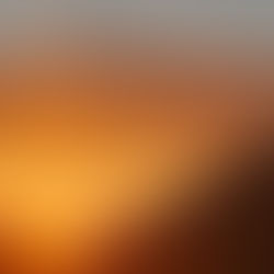 Labels and Brandings.