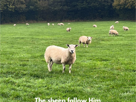 Daily Inspirational verses