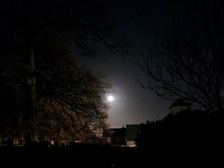 YOU WILL ONCE AGAIN