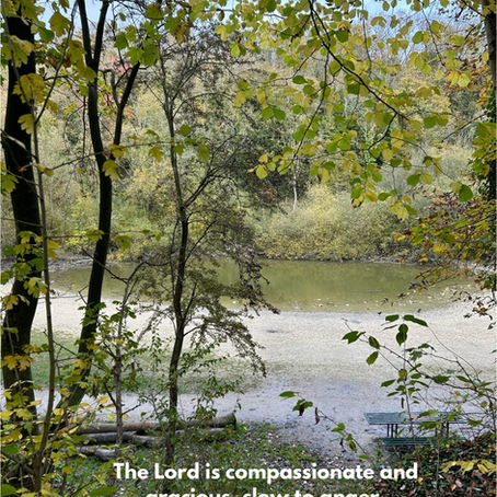 Daily Inspirational Verses