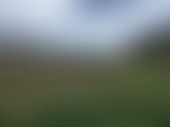 What are You Expecting?