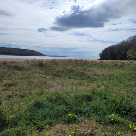 What are You Expecting?