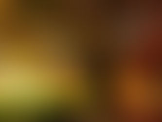 What’s with This ‘Seasons’ Thing?