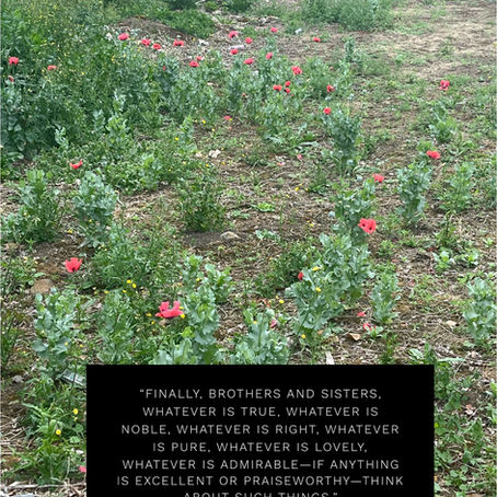 Daily Inspirational Verse