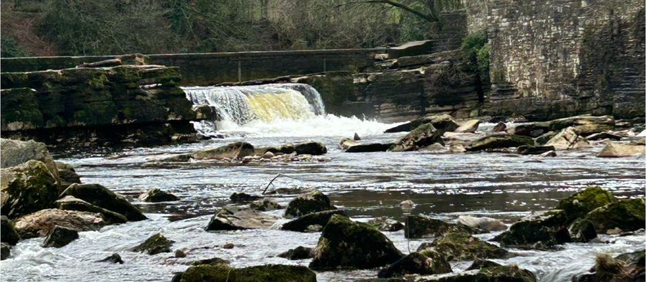 Inspirational verses