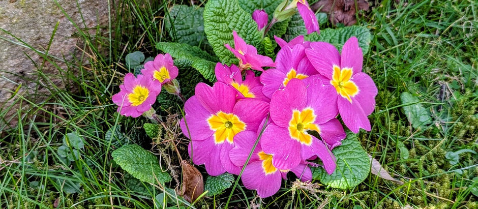 Spring