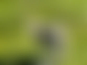 Inspirational Verses