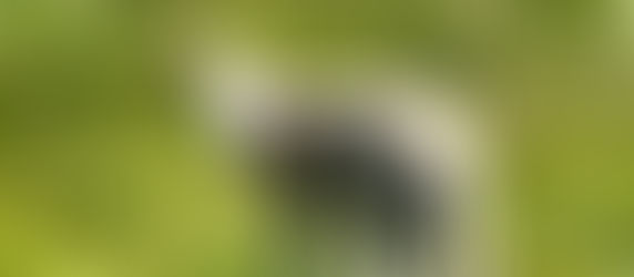 Inspirational Verses