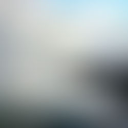 Don't Miss Your Moment