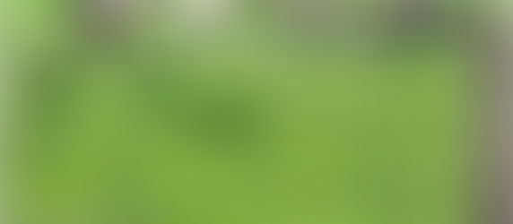 Inspirational Verses