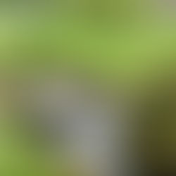 Daily Inspirational Verses