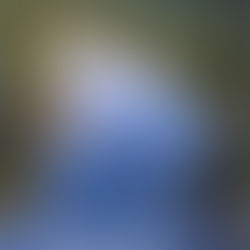 Daily Inspirational Verses