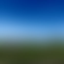 A New Sound for a New Day