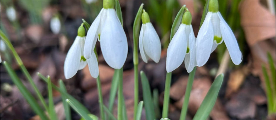 Inspirational Verses