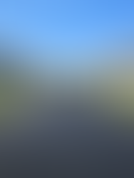 Dallas–Fort Worth Leads the Nation in Home Investor Activity in 2025