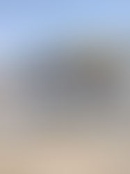 What Property Owners Should Look for in Tenants