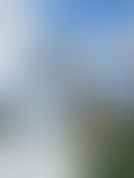 What Working With a Professional Construction Company Should Look Like