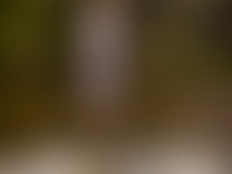 Mohendžodáro - březen/červen 2021