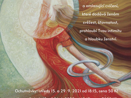 Základní kurz Mohendžodáro