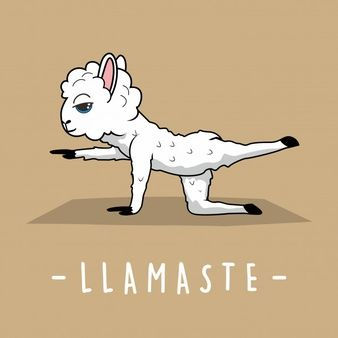 Jóga s LAMAMI venku