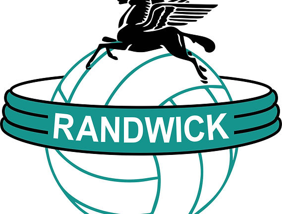 Randwick-Netball-Logo.jpeg