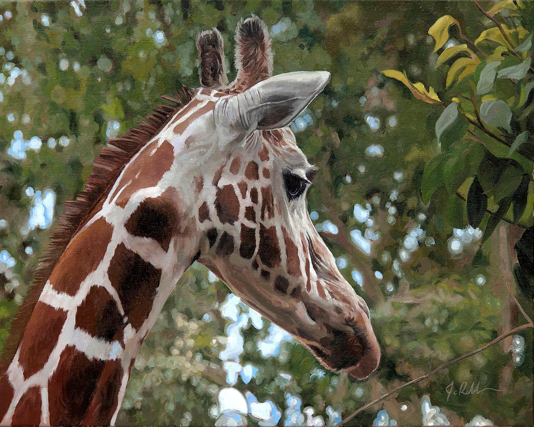 Giraffe - Print on Paper