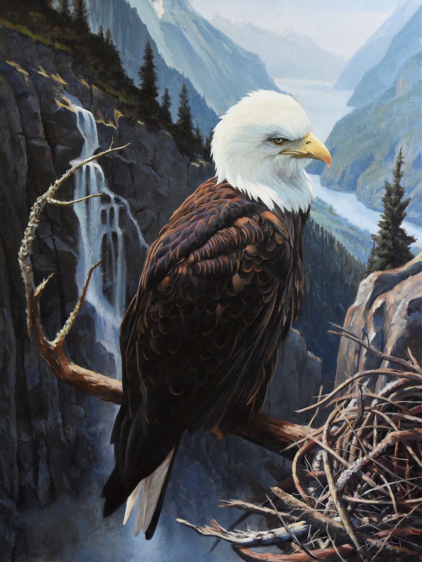 Lofty View - Bald Eagle printed on paper - 18" x 24"