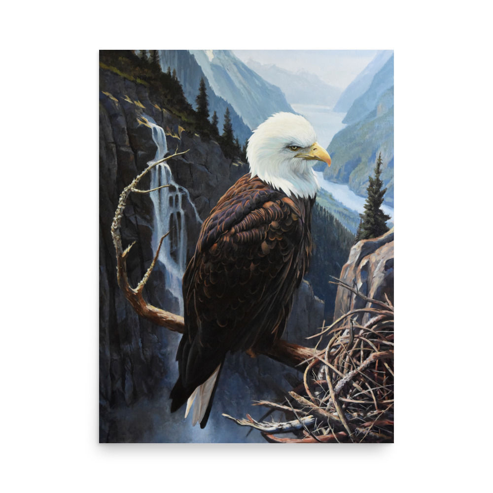 Lofty View - Bald Eagle printed on paper - 18" x 24"