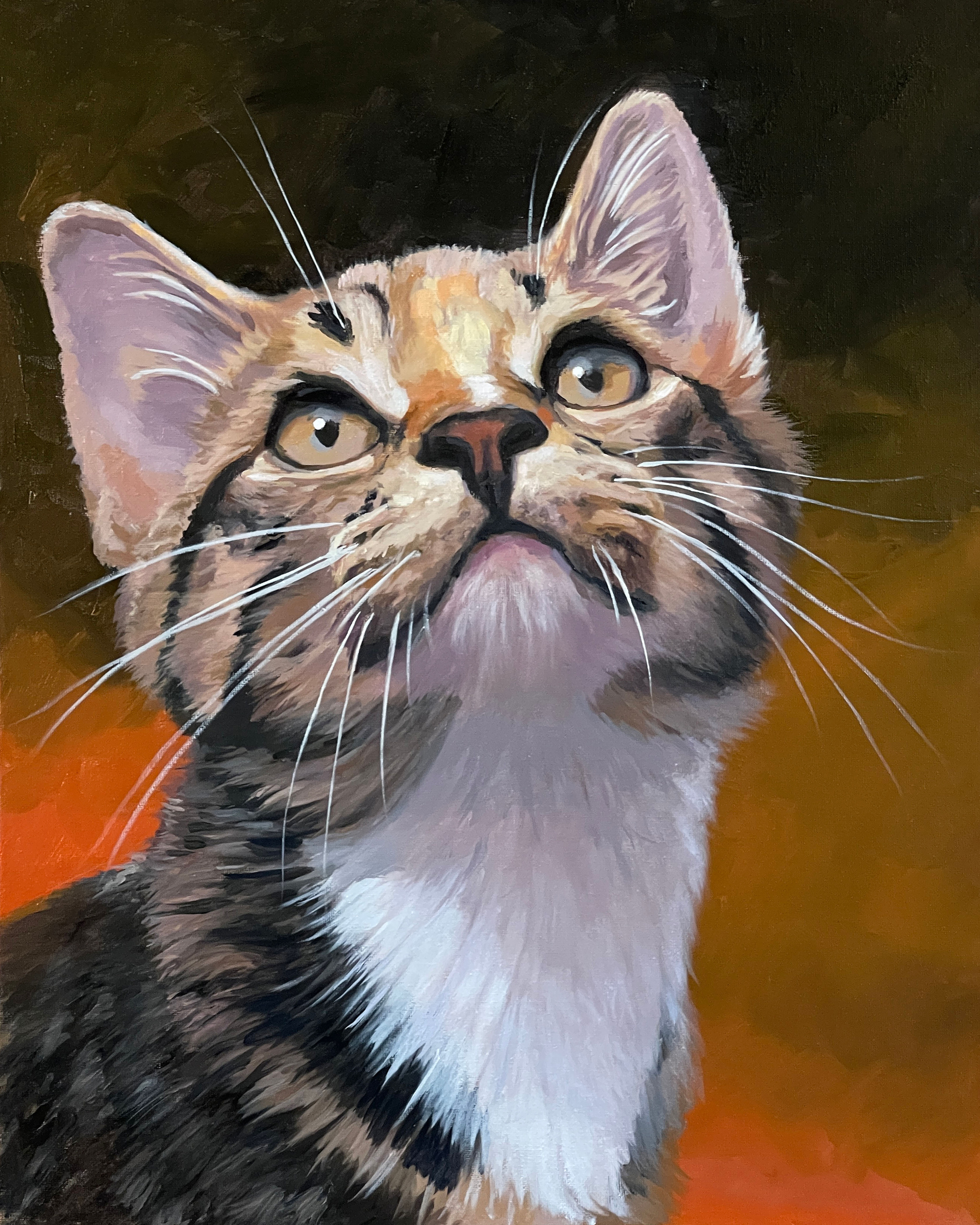 Tabby cat with white chest looking up against warm background.