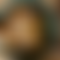 Etoile Compass Fish Cakes