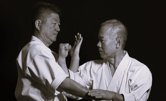 Gun Ryu Home | Okinawa Goju Ryu