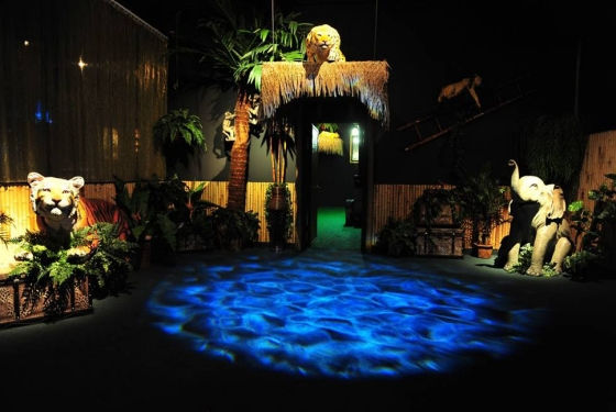 Jungle theme party entrance