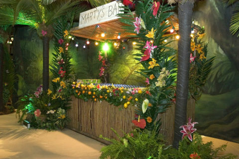 Jungle Theme juice bar