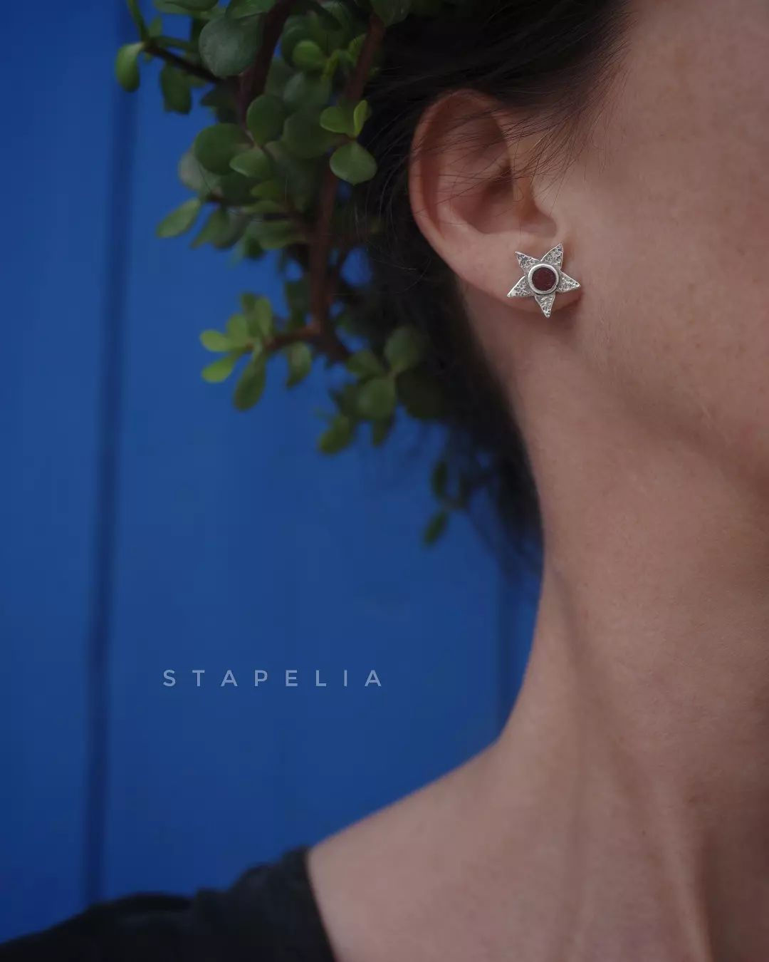 Stapelia Studs