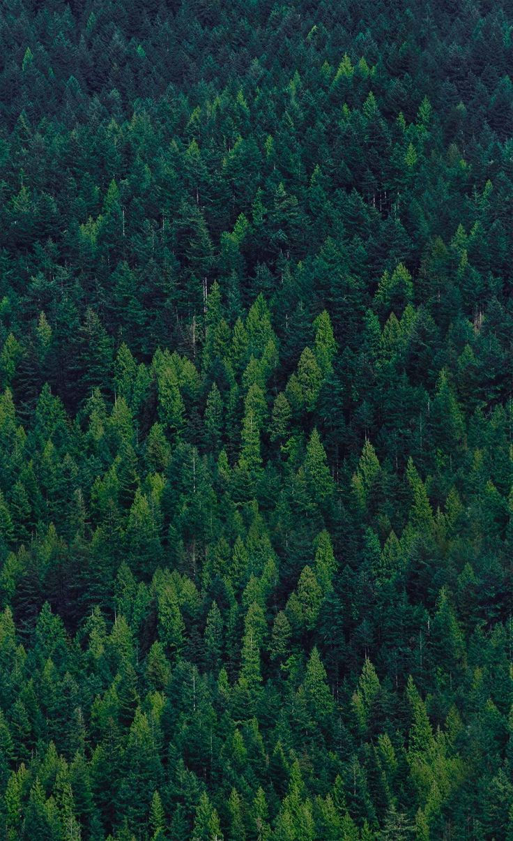 80a7f65d0337d44257018c821918b077.jpg