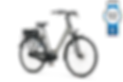 Ebike-a-SHINE-FIT-M7b-Titan-Grey-Gloss-voor-Lady_1920x1920.png