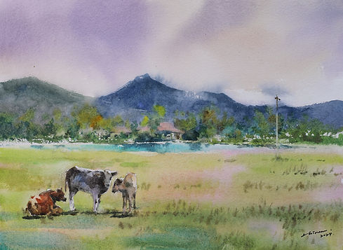 慢活著的牛 28x38cm.jpg