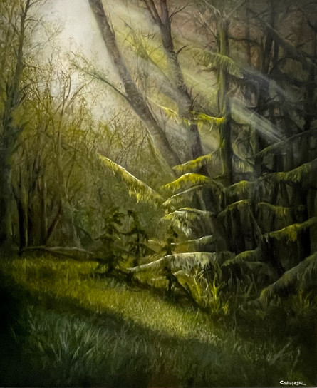 Haida Gwaii - After The Rainfall