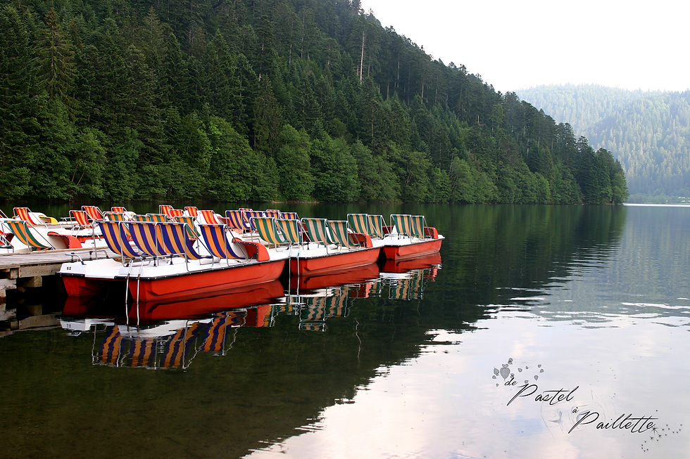 lac de Longmer mai 2007.JPG