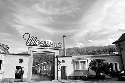 WhatsApp Image 2024-08-19 at 05.29_edite