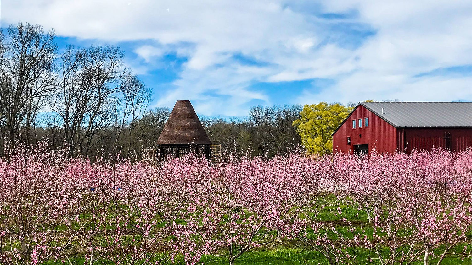 Quinstock Farms An Outdoor Beer Experience Twin Oast