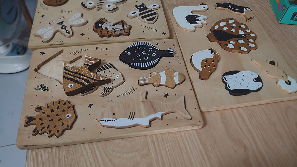 High angle view of a variety of wooden toys in a vibrant assortment