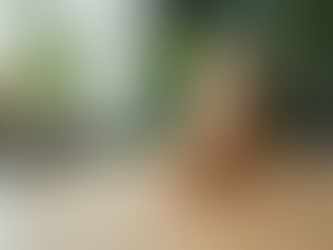 The Benefits of Wooden Toys