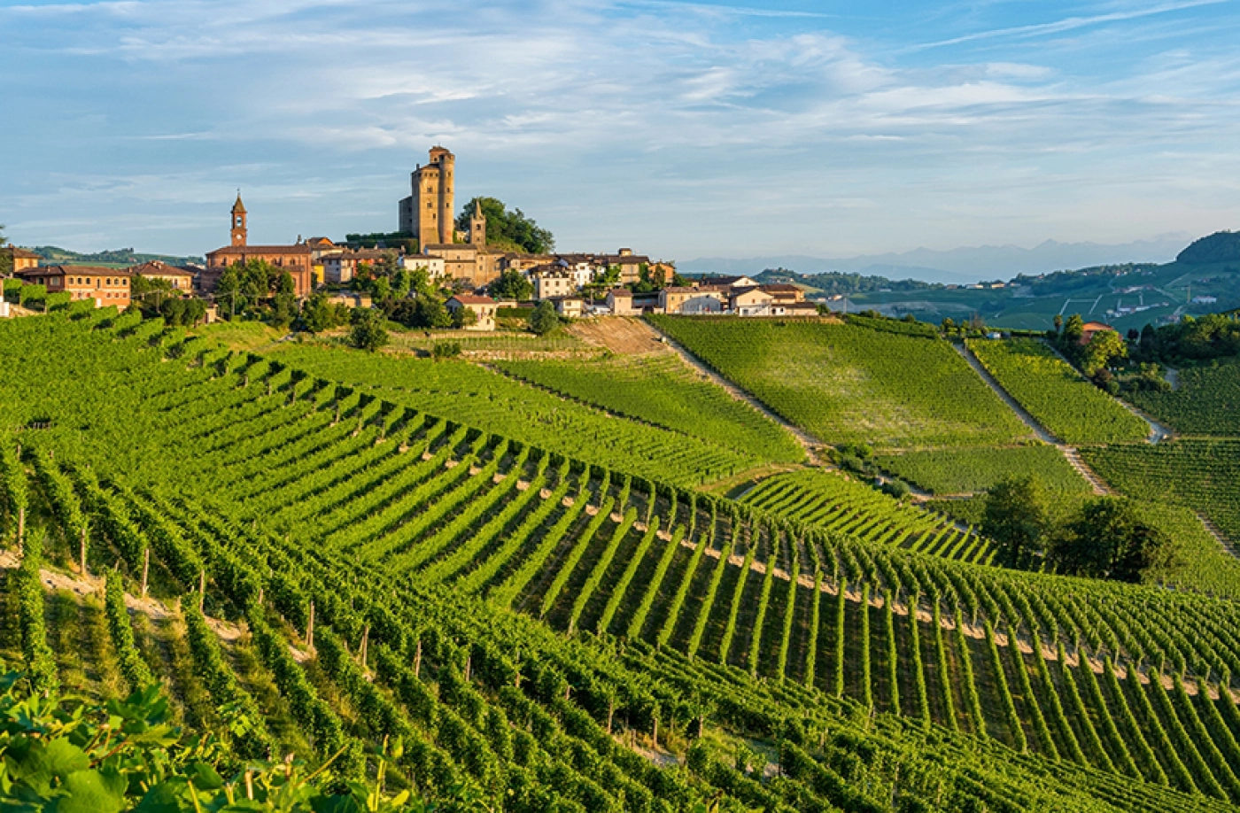 Viva Italia! Italian Wine Class