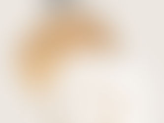 1. SIMPOZIJ SEKCIJE ZA ORBITU, PLASTIČNU I REKONSTRUKTIVNU KIRURGIJU OKA