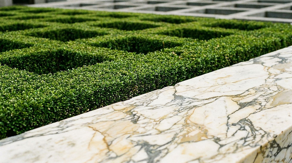 Abstract macro shot of a meticulously manicured boxwood hedge forming a strict geometric grid, contrasting against the random, organic veining of a Calacatta marble slab placed in the foreground.