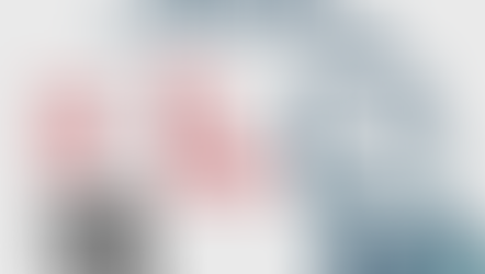 NSBE REGION IV MLK DAY VOLUNTEERING