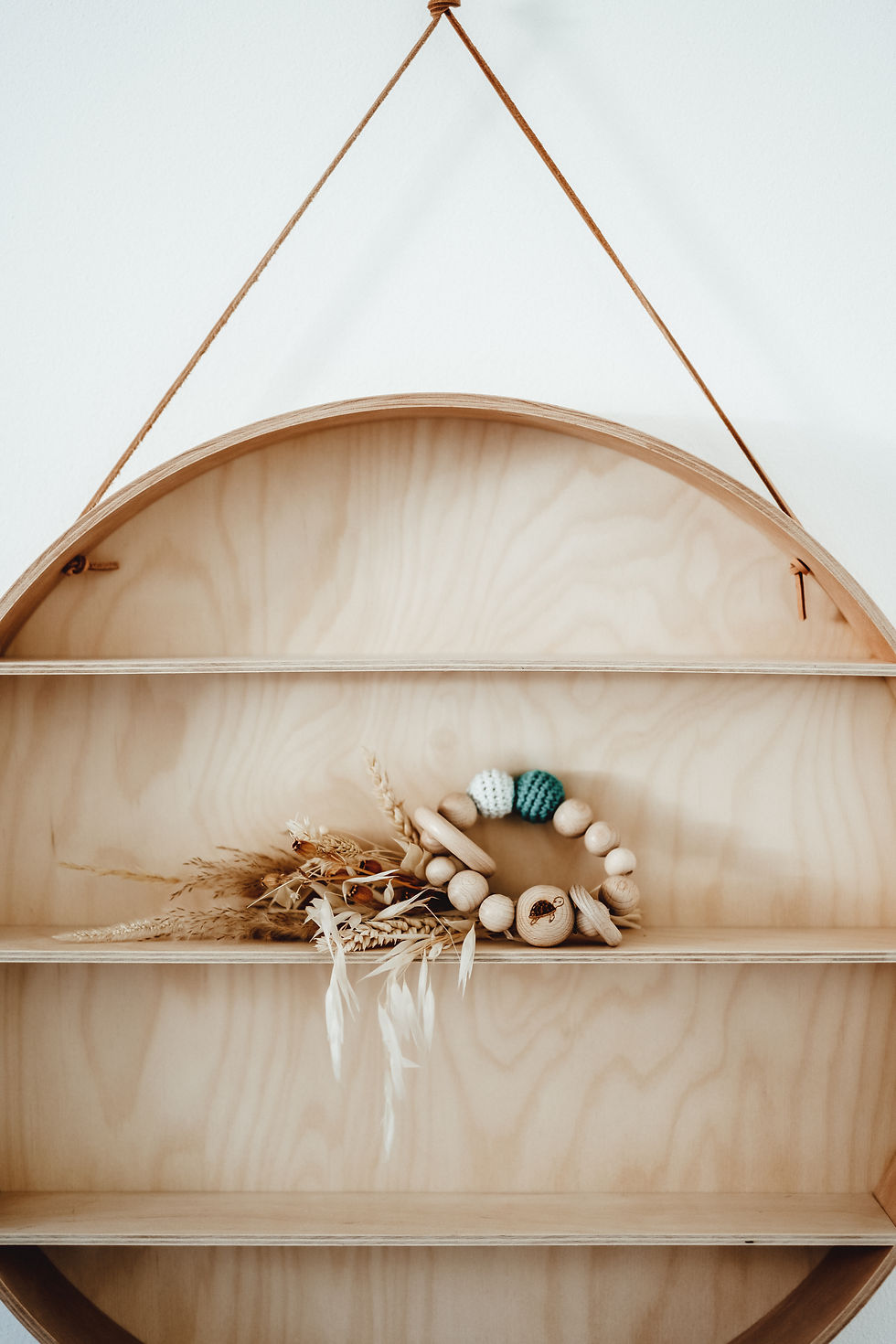 Miniaturbild: Greifling - Schildkröte Tata