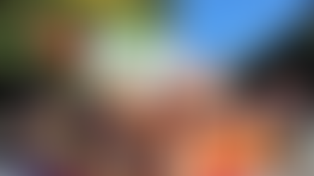 Auckland Organiser Vacancy